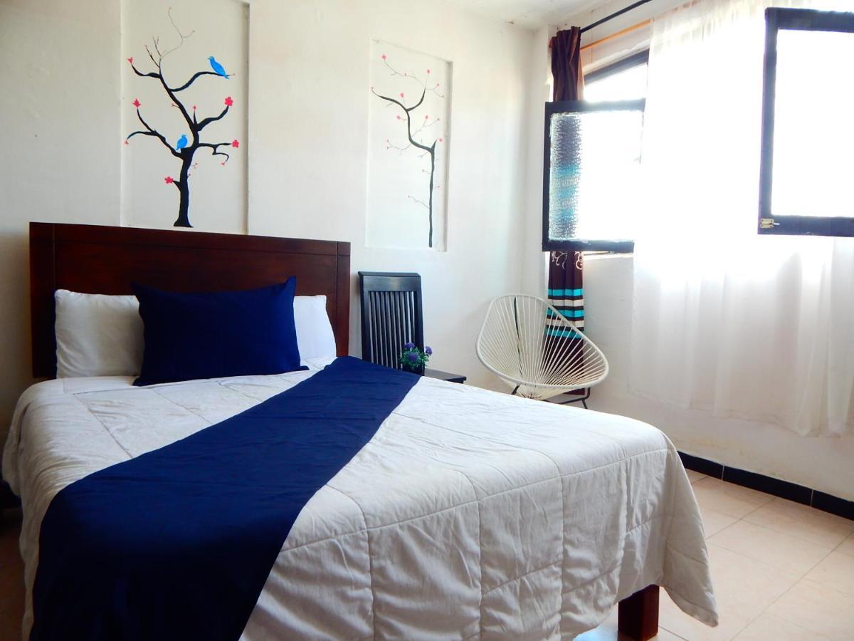 Hotel Casona De Las Aves Guanajuato Zewnętrze zdjęcie