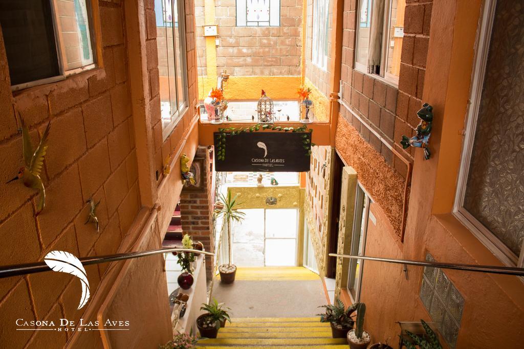 Hotel Casona De Las Aves Guanajuato Zewnętrze zdjęcie
